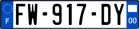 FW-917-DY