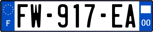 FW-917-EA