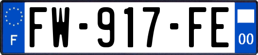FW-917-FE