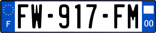 FW-917-FM