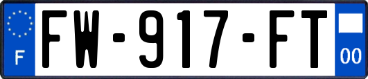 FW-917-FT