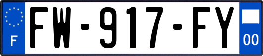 FW-917-FY