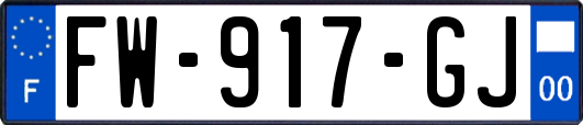 FW-917-GJ