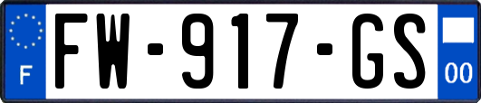 FW-917-GS