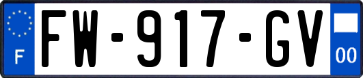 FW-917-GV