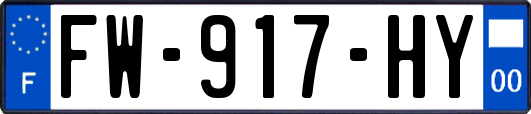 FW-917-HY