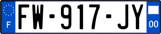 FW-917-JY