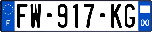 FW-917-KG
