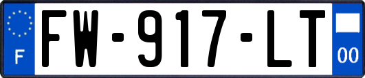 FW-917-LT