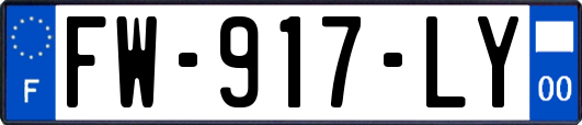FW-917-LY