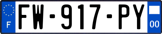 FW-917-PY