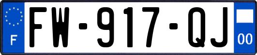 FW-917-QJ