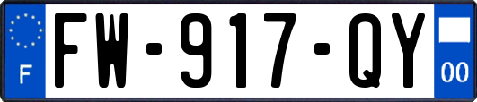 FW-917-QY