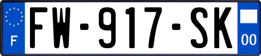 FW-917-SK