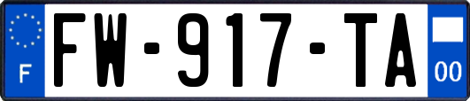 FW-917-TA