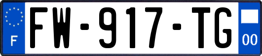 FW-917-TG