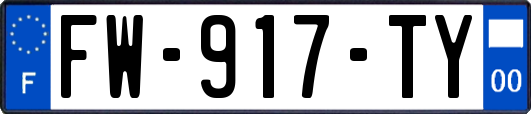 FW-917-TY