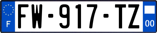 FW-917-TZ