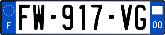 FW-917-VG