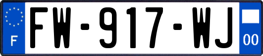 FW-917-WJ