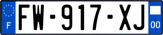 FW-917-XJ