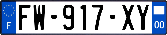 FW-917-XY