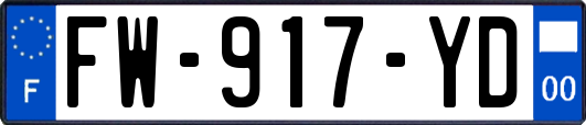 FW-917-YD