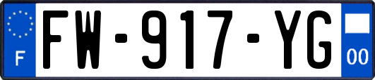 FW-917-YG