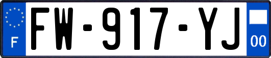 FW-917-YJ