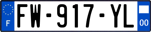 FW-917-YL