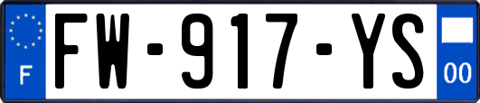 FW-917-YS