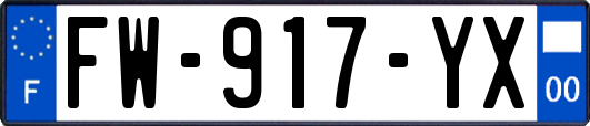 FW-917-YX