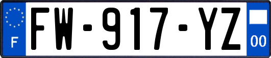 FW-917-YZ