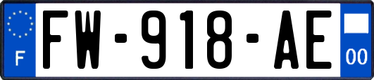 FW-918-AE