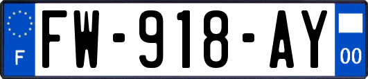 FW-918-AY