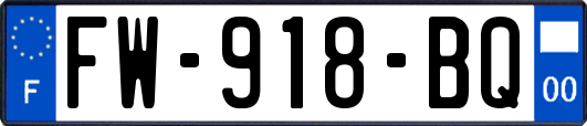 FW-918-BQ