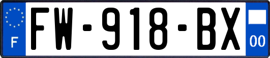 FW-918-BX