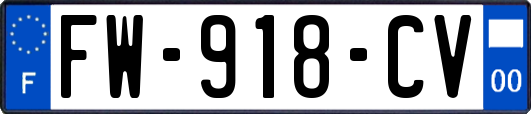 FW-918-CV