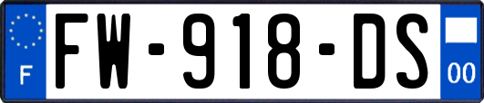 FW-918-DS
