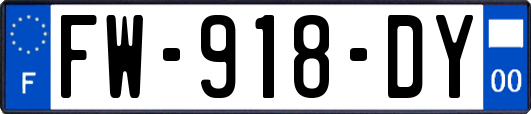 FW-918-DY