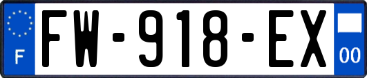 FW-918-EX