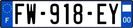 FW-918-EY