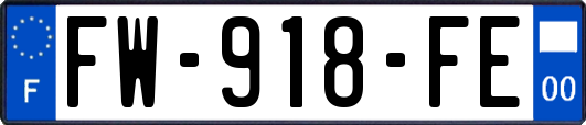 FW-918-FE
