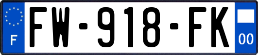 FW-918-FK