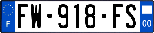 FW-918-FS