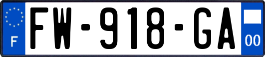 FW-918-GA
