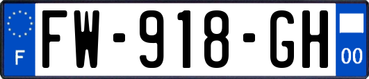 FW-918-GH