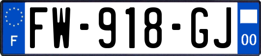 FW-918-GJ