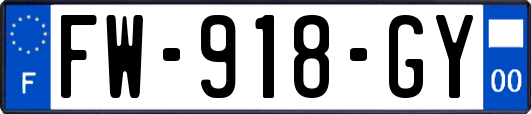FW-918-GY