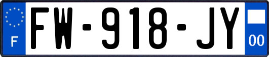 FW-918-JY